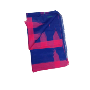 Monipuri Saree – Traditional Elegancy