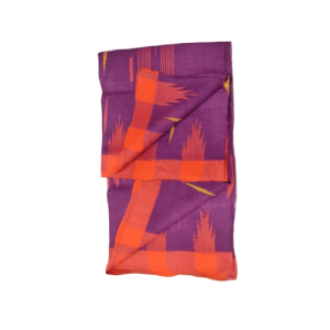 Monipuri Saree – Traditional Elegancy