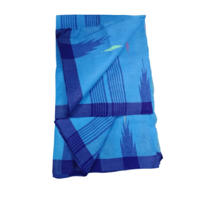 Monipuri Saree – Traditional Elegancy