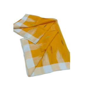 Monipuri Saree – Traditional Elegancy